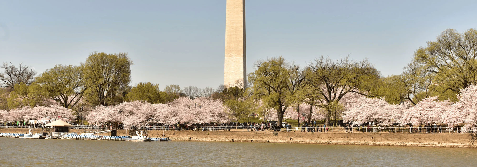 Washington DC view