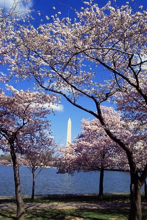 Photo of Washington