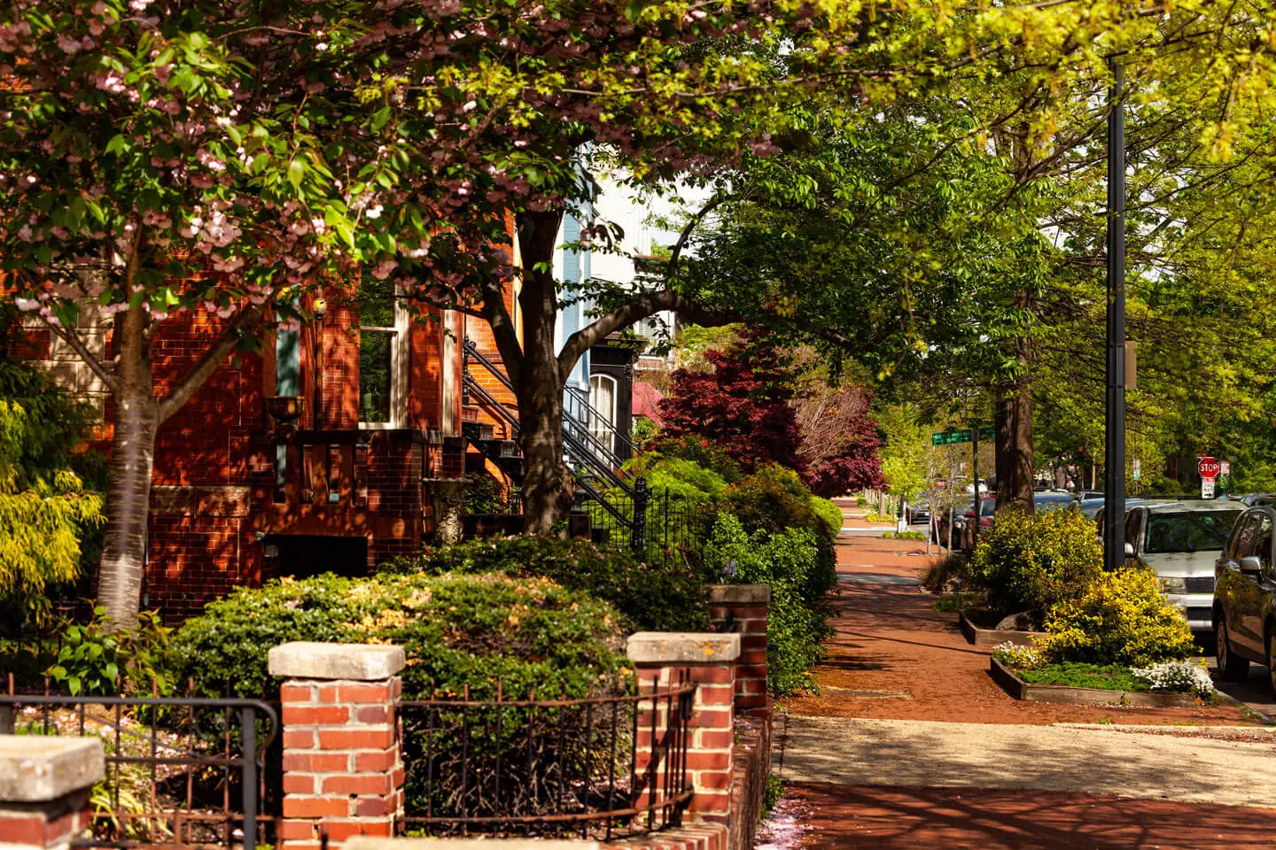 Washington DC neighborhood